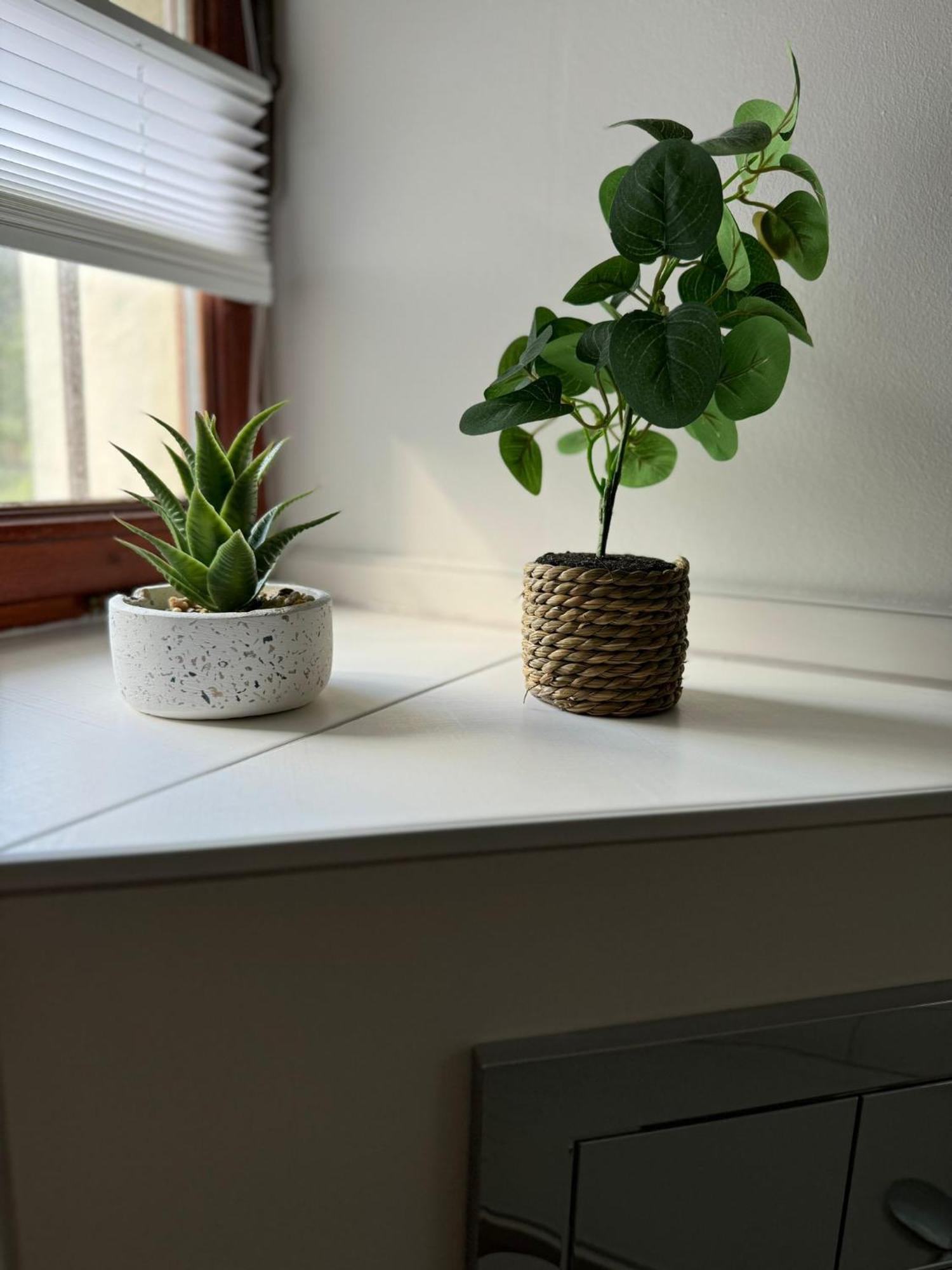 Ferienwohnung Neue Quickbox Thale Exteriör bild