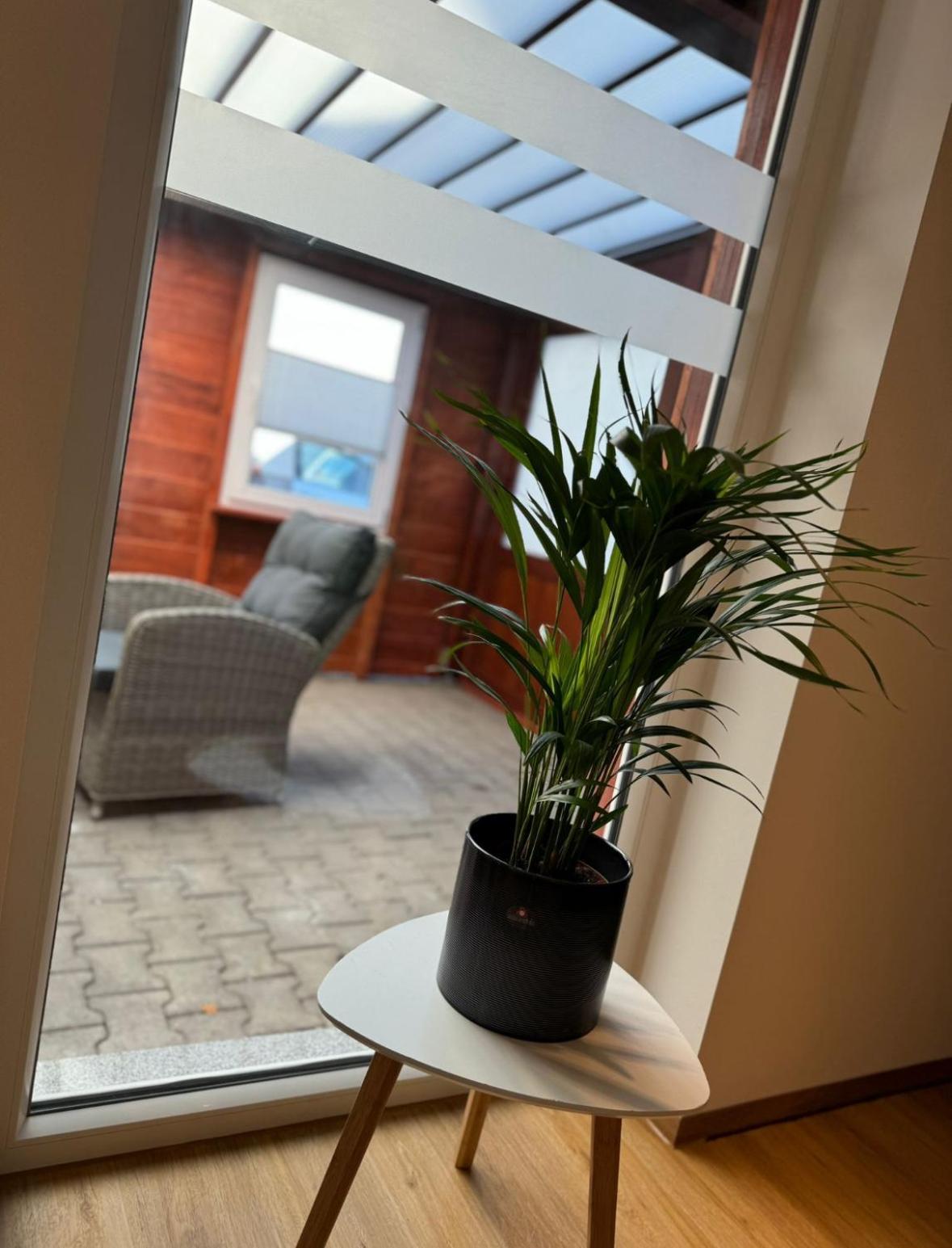Ferienwohnung Neue Quickbox Thale Exteriör bild